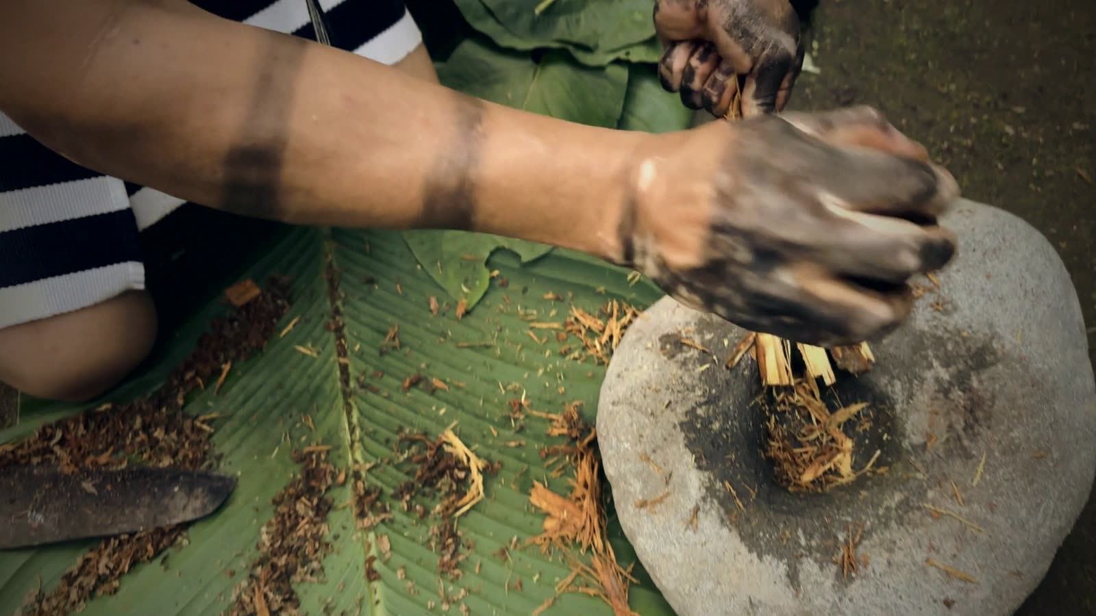 Manos preparando plantas sobre una piedra